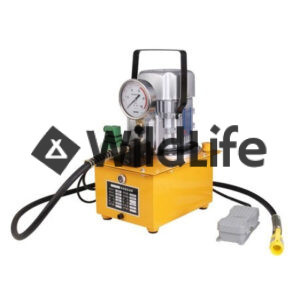 Elektriline hüdropump 750W (jalgpumbaga)