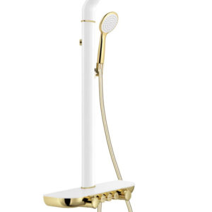 Bolt- pealispinnale paigaldatav duššikomplekt vihmadušši ja segistiga, valge/kuldne